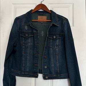 Classic Denim Distressed Jacket